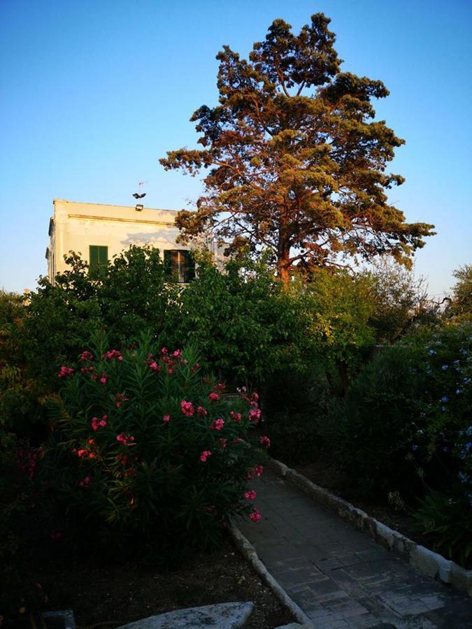 B&B Villa Maria Giovinazzo Exterior photo